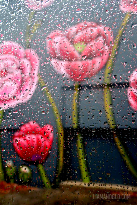 Liam and glo flower mural in the rain